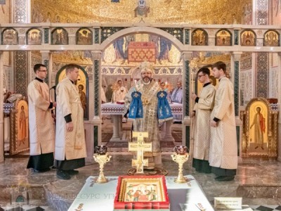 «Хто тримає на руках Христа, ніколи не буде блукати в темряві», — Глава УГКЦ на празник Стрітення Господнього